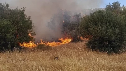 İzmir İtfaiyesi teyakkuzda