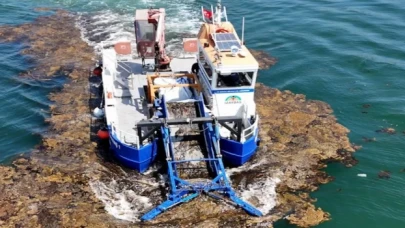 Kocaeli deniz ekosistemini koruyor