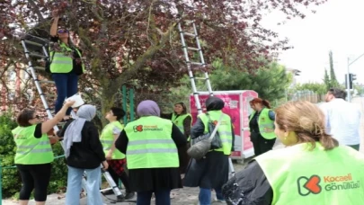 Kocaeli göüllüleri dalından toplayarak sevgilerini de kattılar