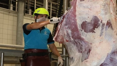 Kurbanda çevre ve halk sağlığına dikkat