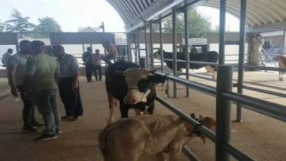 Kurbanlık pazarında durgunluk