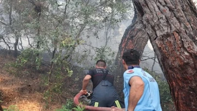 Lara’daki orman yangını kontrol altına alındı