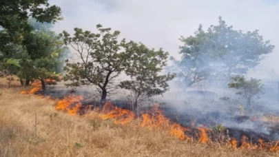 Manisa’da ormanlık alanı tehdit eden yangın