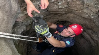 Minik yavruya Kayseri İtfaiyesi’nden yardım