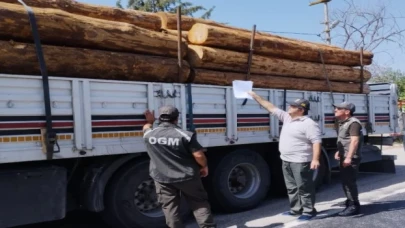 Mobil orman kontrol noktaları denetimde