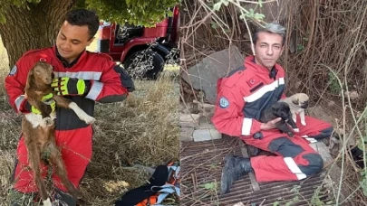 Muğla Büyükşehir İtfaiyesinden Hayvan Kurtarma Operasyonu