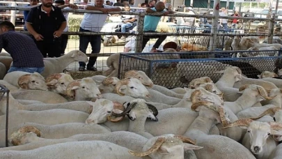 Ödemiş Belediyesi Kurban Bayramına Hazırlanıyor