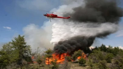 Orman yangınlarına karşı ’suç’ ve ’ceza’lar...!