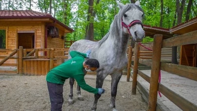 Ormanya bayramda ziyaretçilerini bekliyor