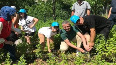 Özel çocuklarımız sebze ve aromatik bitki yetiştiriyor