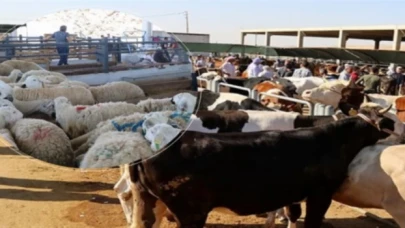 Satılamayan kurbanlıkları ESK alacak