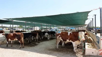 Selçuklu Belediyesi yaklaşan Kurban Bayramı öncesinde vatandaşların ve satıcıların faydalanabileceği kurban satış yerinde çalışmalarını tamamladı