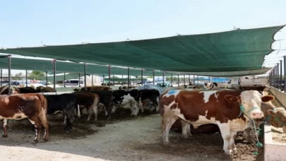 Selçuklu’da kurban satış ve kesim yerleri belli oldu