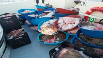 Şile’de kaçak avcılık operasyonu