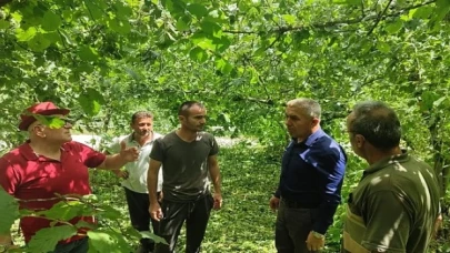 Son zamanlarda yüksek seyreden hava sıcaklığında yaşanan ani düşüş ve beraberinde gelen rüzgarlı ve yağışlı hava, bir çok bölgede olduğu gibi Kandıra’da etkisini gösterdi