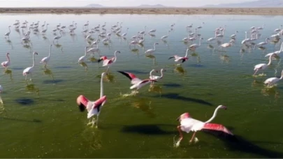 Turnalara ’halka’lı sıkı takip!