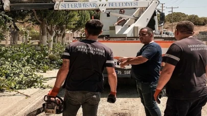 Akarca’da asfalt çalışması başladı