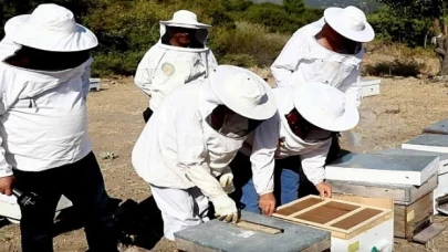 Bayraklı Belediyesinden yerel üreticiye kurs desteği 'Arıcılık ve bal üretimi kursu’ başlıyor
