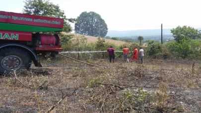 Bilecik’te arazi yangını! 1 kişi dumandan etkilendi