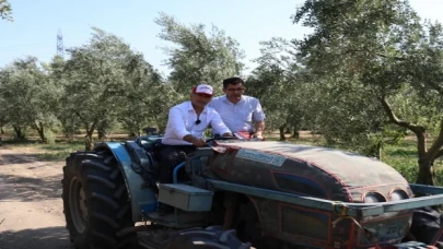 Bursa Gemlik’te zeytin ağaçları suya kavuştu