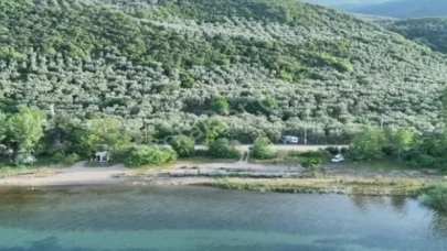 Bursa İznik’in zeytin tarlaları ilçeye renk katıyor
