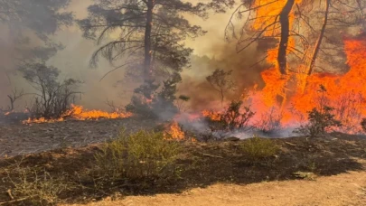 Bursa Orhaneli’deki orman yangını kontrol altında