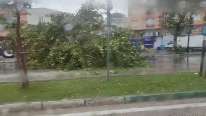 Bursa’da şiddetli yağış ağacı devirdi