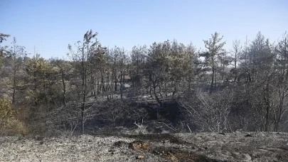 Büyükşehir İtfaiyesi alevlere müdahale etti
