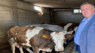 CHP’li vekil Gürer: Ağustos’ta süt krizi yaşanmasın!