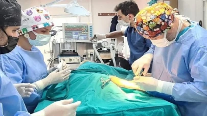 En fazla sokak hayvanını Osmangazi Belediyesi kısırlaştırdı