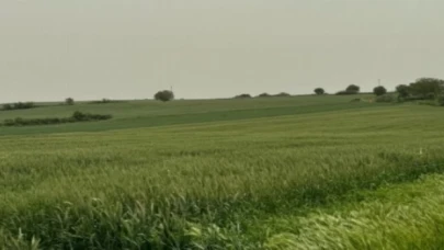 Enez’de tarım ve orman alanına RES için ÇED süreci