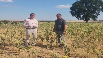 Gaytancıoğlu: Ayçiçeği fiyatı en az 25 TLolmalı