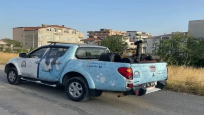 Gebze’de ilaçlama çalışmalarına devam