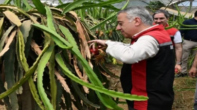 İzmir’in tarımsal çeşitliliğine Ejder Meyvesi katkısı