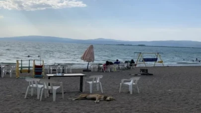 İznikliler günün yorgunluğunu sahil ve parklarda atıyor