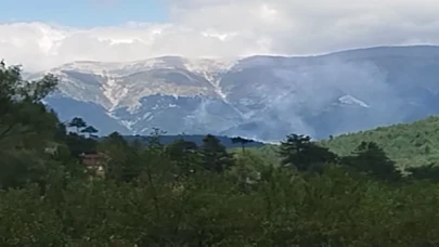 Keles’te orman yangını