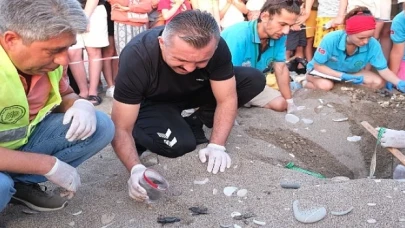 Kemer’de son 30 yılın caretta caretta rekoru bekleniyor