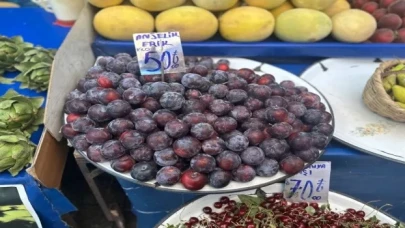 Kırmızı erik tezgahlara giriş yaptı
