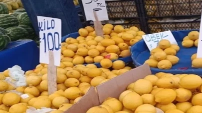 Limon üreticisinin sesine duyarsızlık fahiş fiyatlara neden oldu