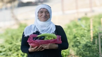 Mahalle bostanında hasat zamanı