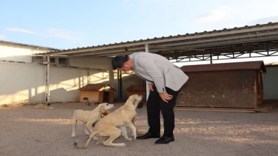 Nevşehir’e yeni Hayvan Kasabası