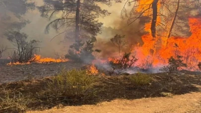 Orhaneli’nde orman yangını çıktı 