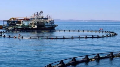 Orkinos çiftlikleri İzmir’den dünyaya açılıyor