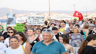 Sahipsiz hayvanlar için sesler Mudanya’dan yükseldi