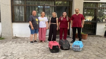 Salihli Belediyesi Sokaktaki Kedilerin Sağlığına Destek