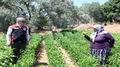 TAKE projesiyle İzmirli üreticiye destek atağı