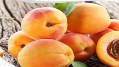 Tescilli kayısılar 12 Temmuz’da yarışacak