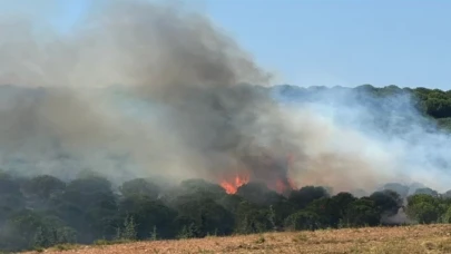 Yalova Armutlu’da iki ayrı noktada yangın! Müdahale sürüyor