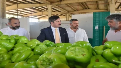 Yenişehir Biberi’ne yeni pazar arayışı