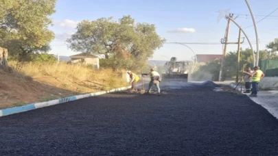 Dilovası’nda asfaltlama çalışmaları başladı